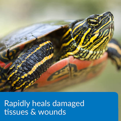 API Turtle Fix Treats Bacterial Infections [Reptile Supplies] 48 oz (6 x 8 oz)
