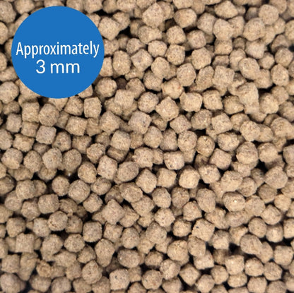 API Bottom Feeder Shrimp Pellets Sinking Pellets Fish Food [Aquarium Supplies for Aquarium] 1.5 oz
