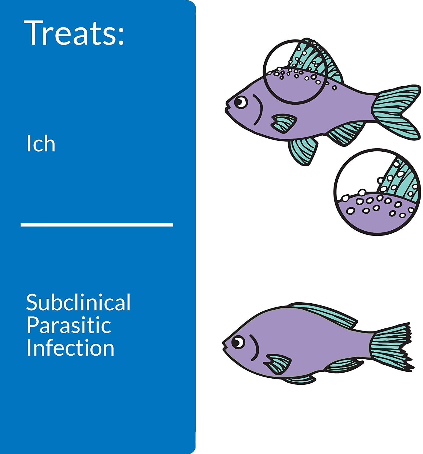 API Super Ick Cure Treats White Spot Disease [Aquarium Supplies] 10.2 oz (6 x 1.7 oz)