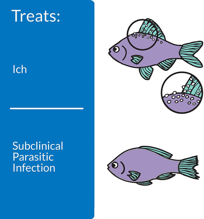 API Super Ick Cure Treats White Spot Disease [Aquarium Supplies] 10.2 oz (6 x 1.7 oz)
