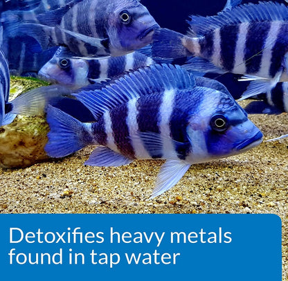 API Tap Water Conditioner Detoxifies Heavy Metals and Dechlorinates Aquarium Water [Aquarium Supplies] 7 oz (9 x 8 oz)