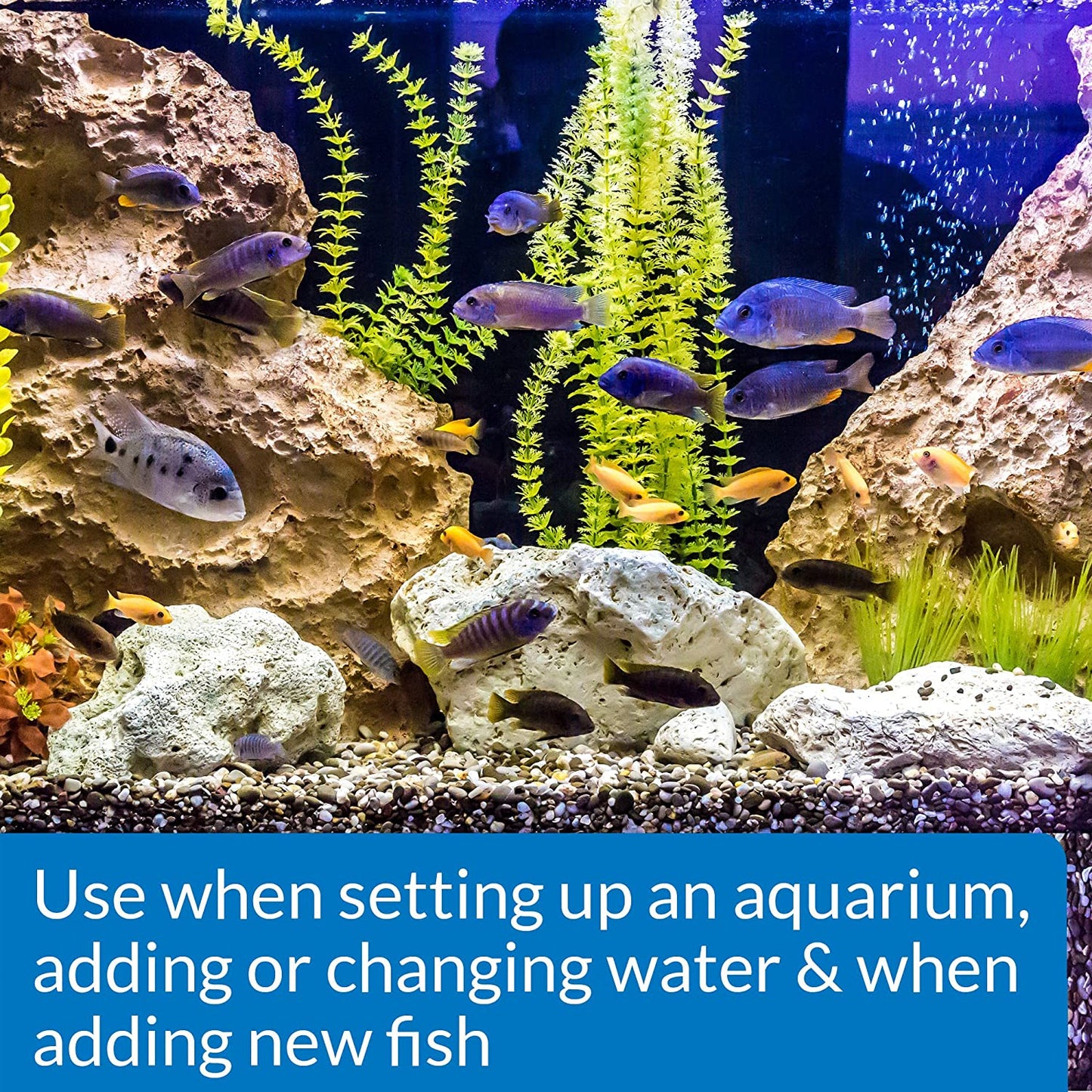 API Stress Coat + Fish and Tap Water Conditioner [Aquarium Supplies] 128 oz (2 x 64 oz)