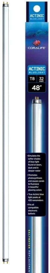 Aqueon [Bulbs Fluorescent] Aqueon Actinic Bluelight T8 Fluorescent Lamp