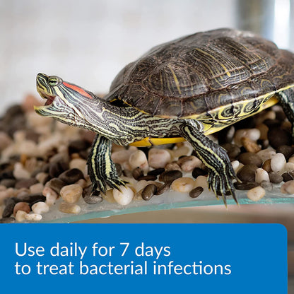 API Turtle Fix Treats Bacterial Infections [Reptile Supplies] 48 oz (6 x 8 oz)