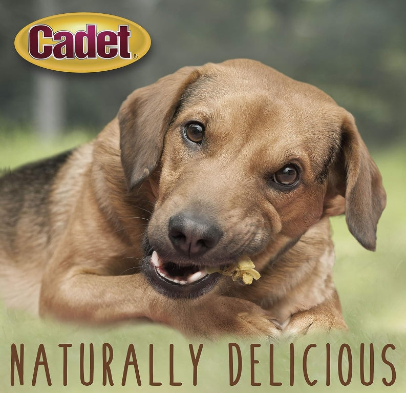 Cadet Gourmet Chicken and Apple Wraps [Dog Supplies] 14 oz