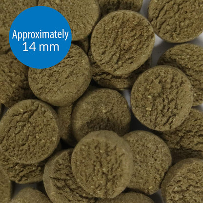API Algae Eater Sinking Wafers Fish Food [Aquarium Supplies for Aquarium] 6.4 oz