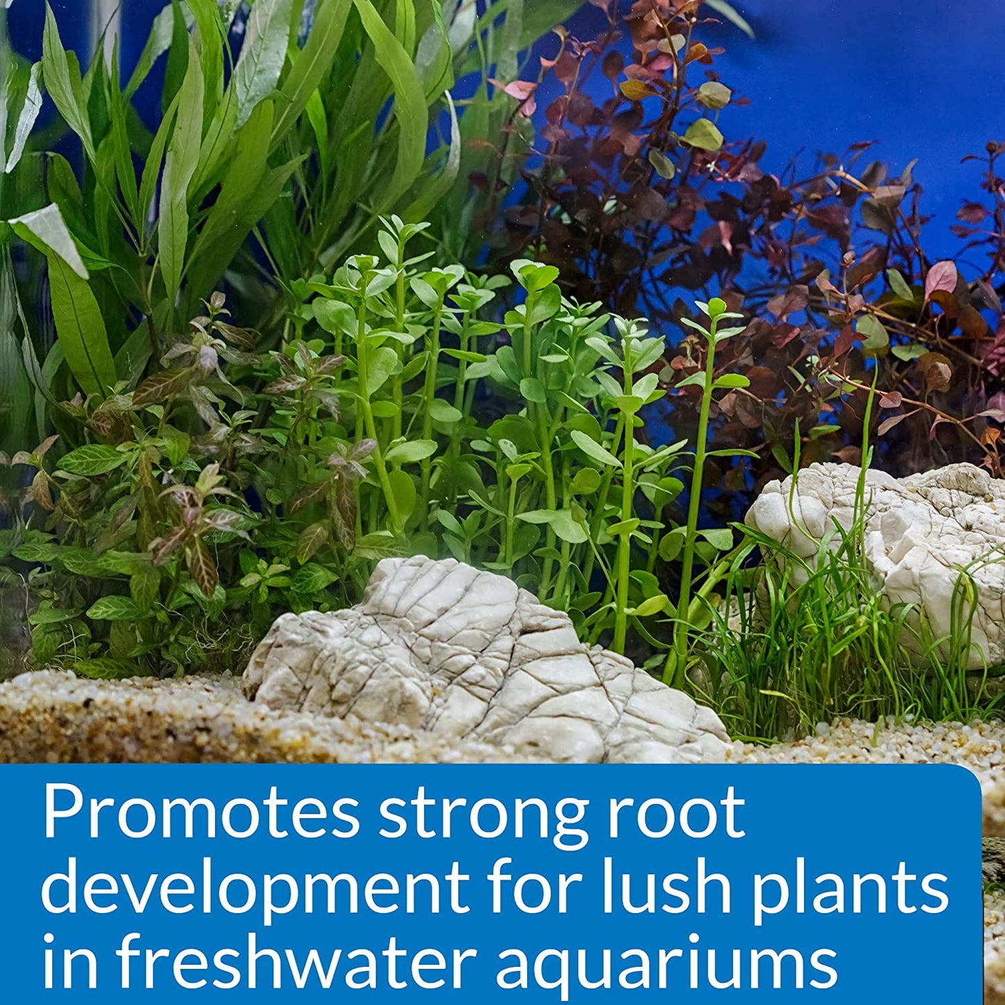 API Root Tabs Plus Iron Promotes Lush Growth of Aquarium Plants [Aquarium Supplies for Aquarium] 10 count