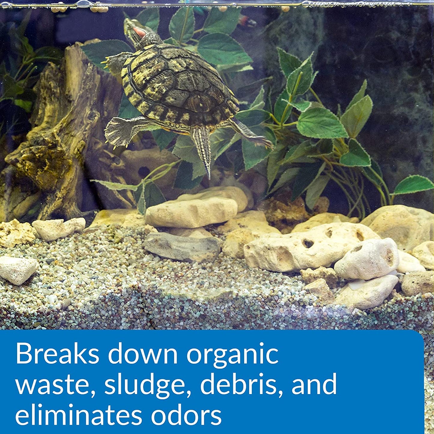 API Turtle Sludge Destroyer Breaks Down Organic Waste and Debris with Beneficial Bacteria [Pond Supplies] 40 oz (5 x 8 oz)