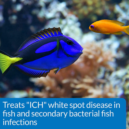 API Super Ick Cure Treats White Spot Disease [Aquarium Supplies] 24 oz (6 x 4 oz)
