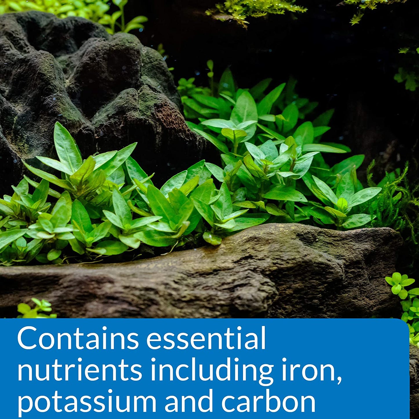 API Root Tabs Plus Iron Promotes Lush Growth of Aquarium Plants [Aquarium Supplies for Aquarium] 10 count